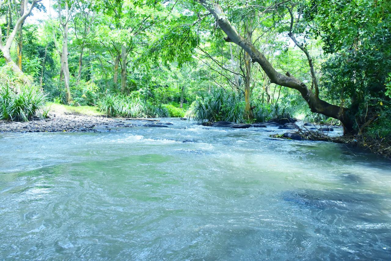 Silent River Cottage Udawalawe Dış mekan fotoğraf